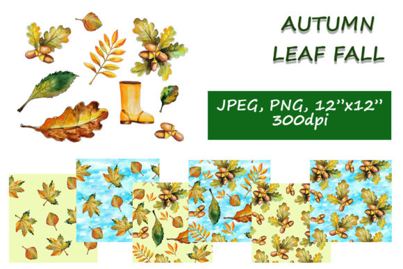 Autumn Leaf Fall Collection: A Designer's Review