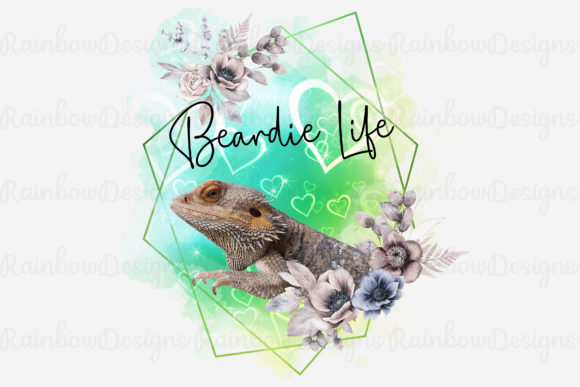 Bearded Dragon Geometric Frame: A Designer's Review