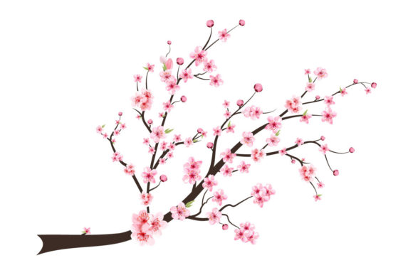 Cherry Blossom Pink Watercolor Flower: Graphic Templates Review