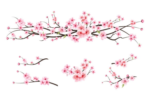 Cherry Blossom Watercolor Sakura Flower Graphic Templates