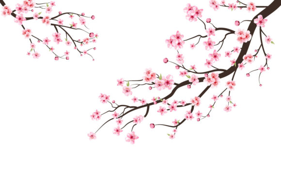 Review: Cherry Blossom with Sakura Branch Vector for Embroidery